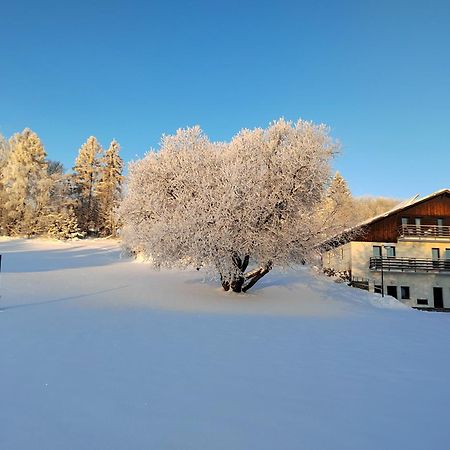 Penzion U Kovare - Vedlejsi Budova Novy Hradek Экстерьер фото