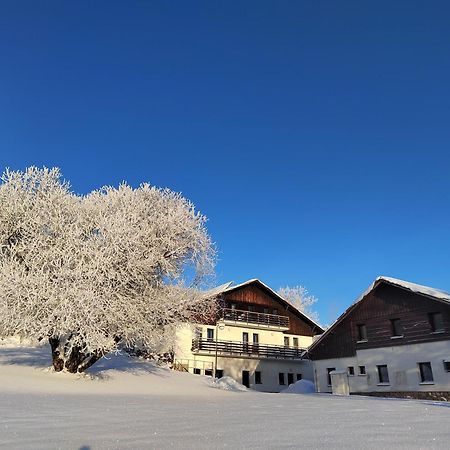 Penzion U Kovare - Vedlejsi Budova Novy Hradek Экстерьер фото