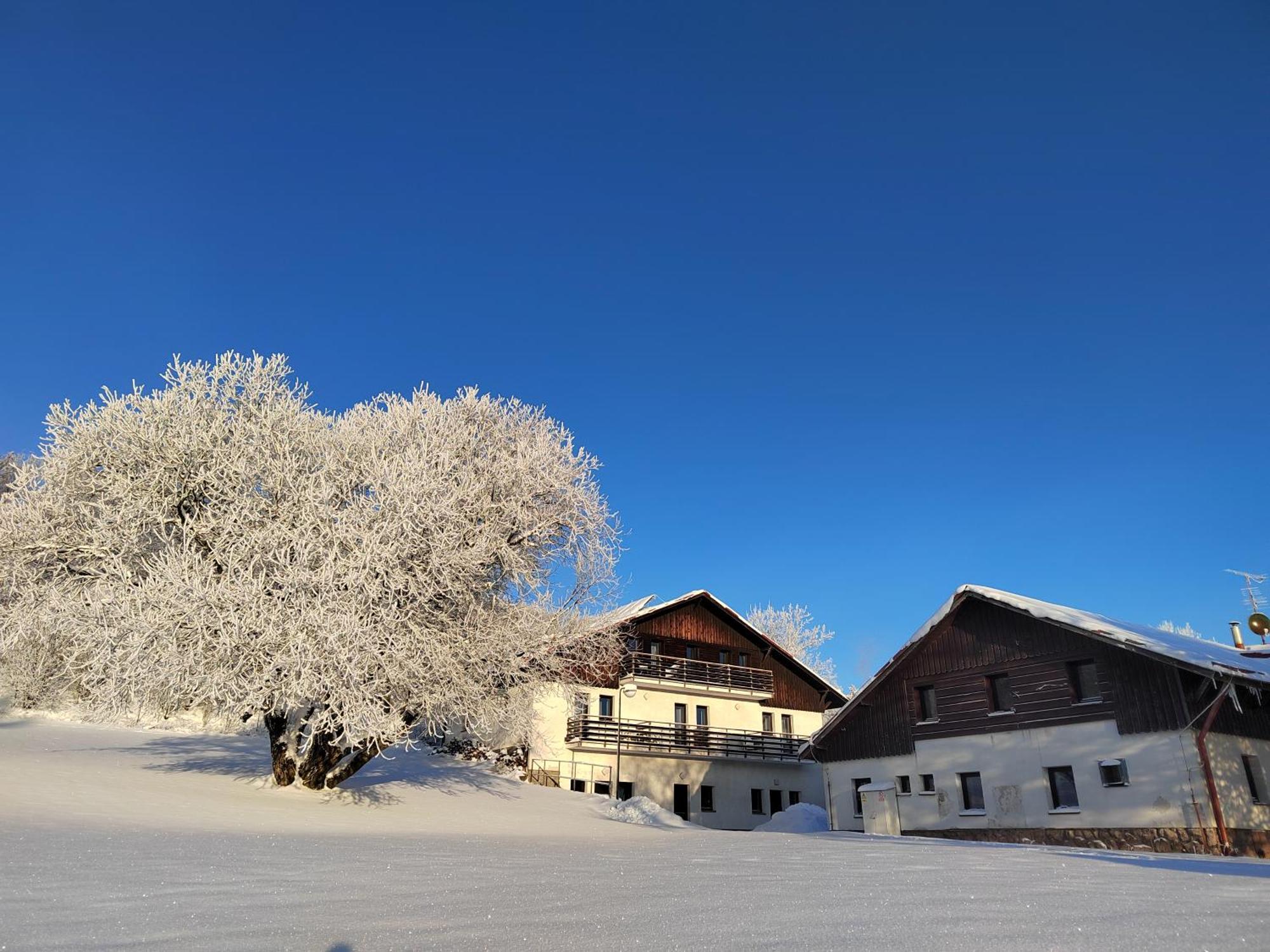 Penzion U Kovare - Vedlejsi Budova Novy Hradek Экстерьер фото