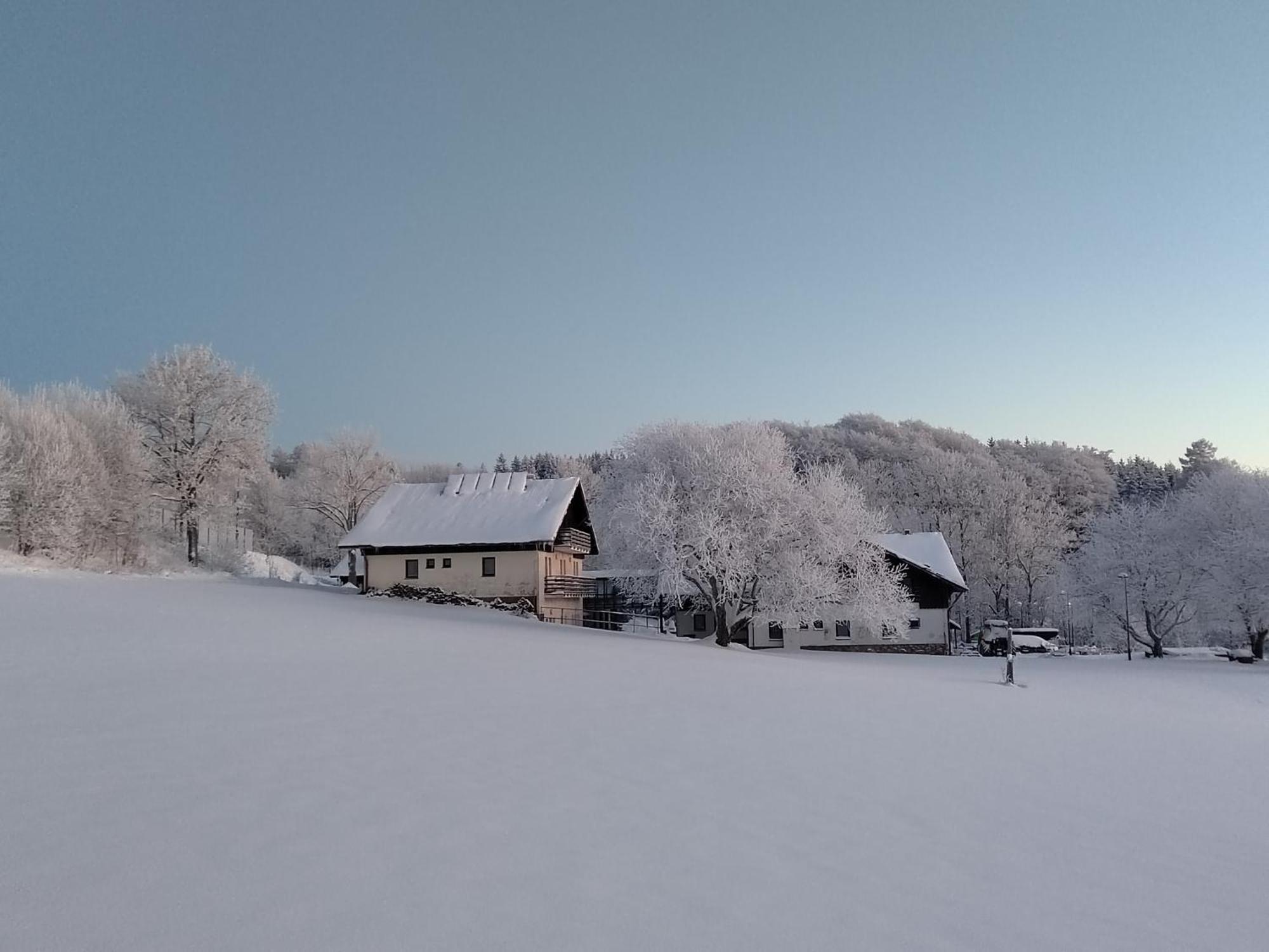 Penzion U Kovare - Vedlejsi Budova Novy Hradek Экстерьер фото